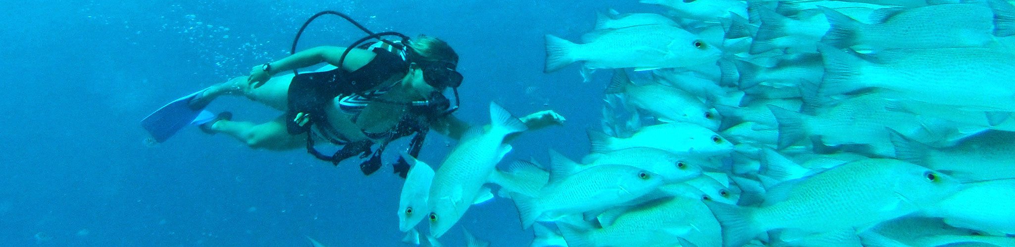 Scuba Dive in Cozumel